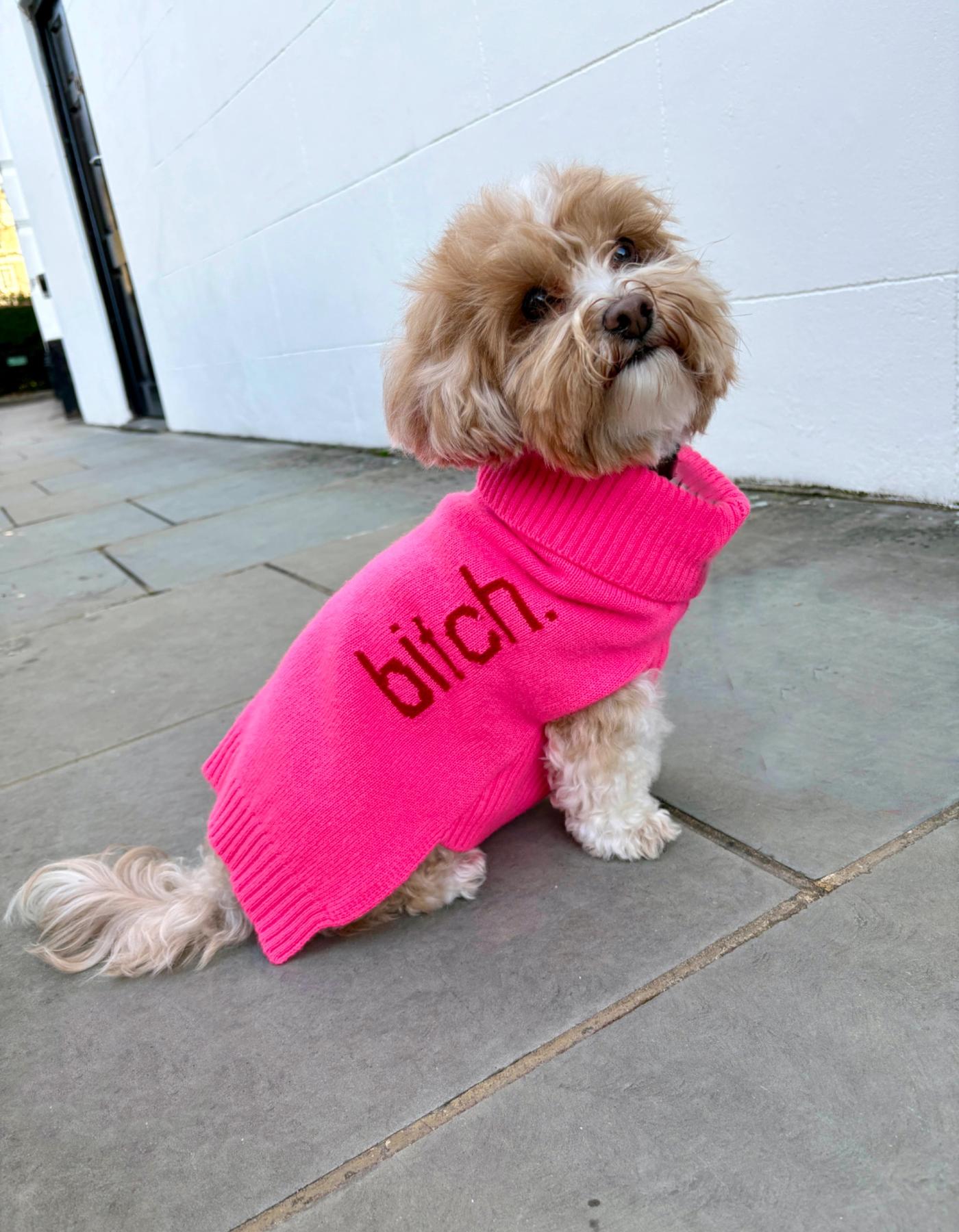 Dog wearing a pink cashmere sweater with the word 'bitch' on it, standing on a pavement.
